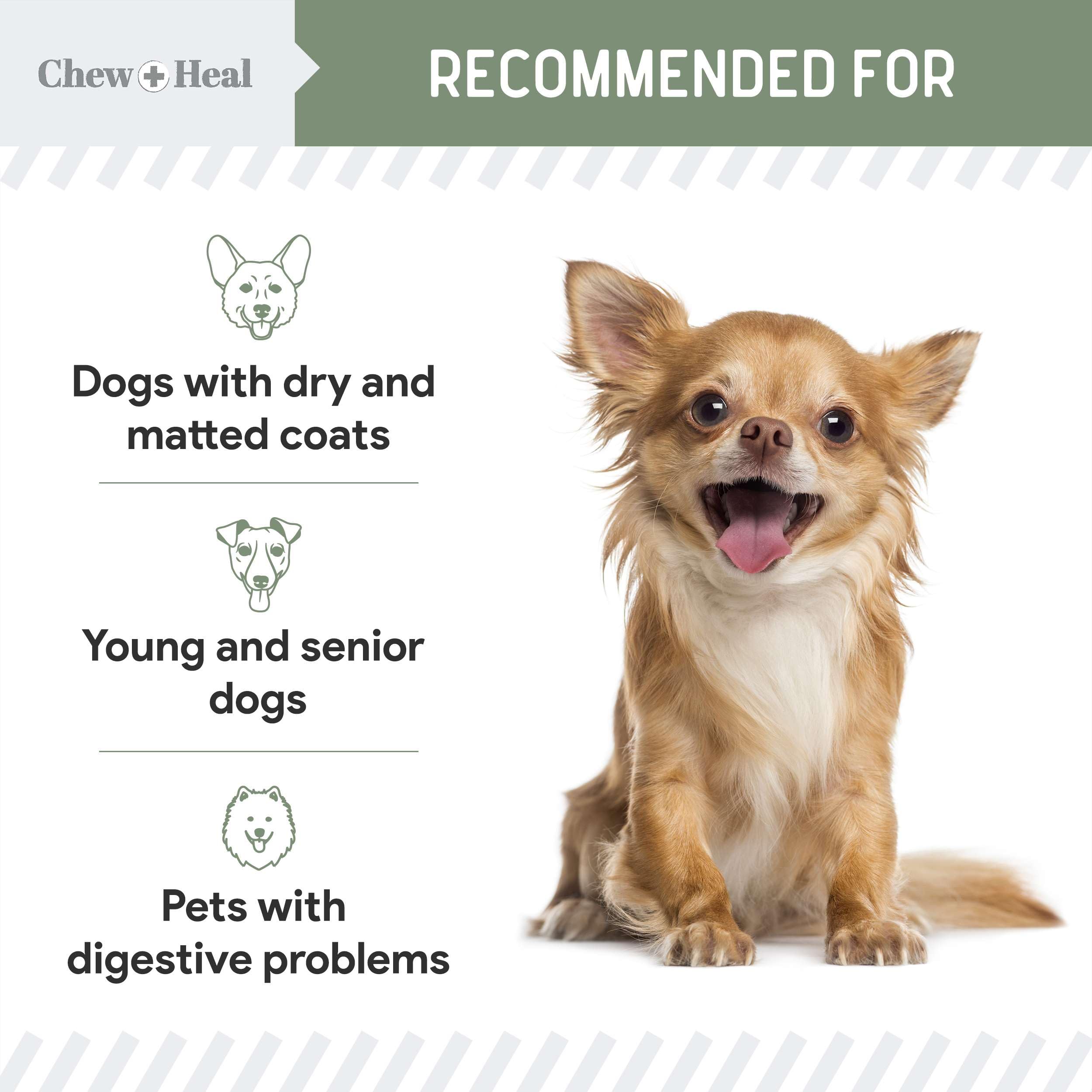 All in 1 Dog Vitamins and Supplements, 120 Soft Chew Multivitamins with Glucosamine, Probiotics, Omega Fish Oil -for Skin, Coat,